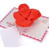 Plush Toy 3D Pop-up Card