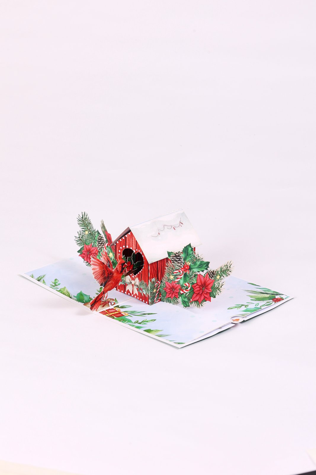 North American Peacock Bird House Christmas Greeting Card