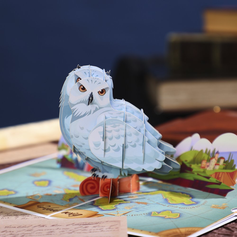 Owl Delivering Mail Map Greeting Card