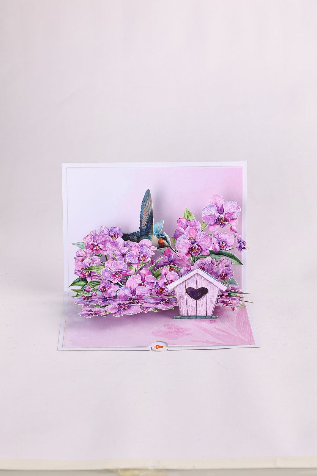 Orchid Hummingbird Greeting Card