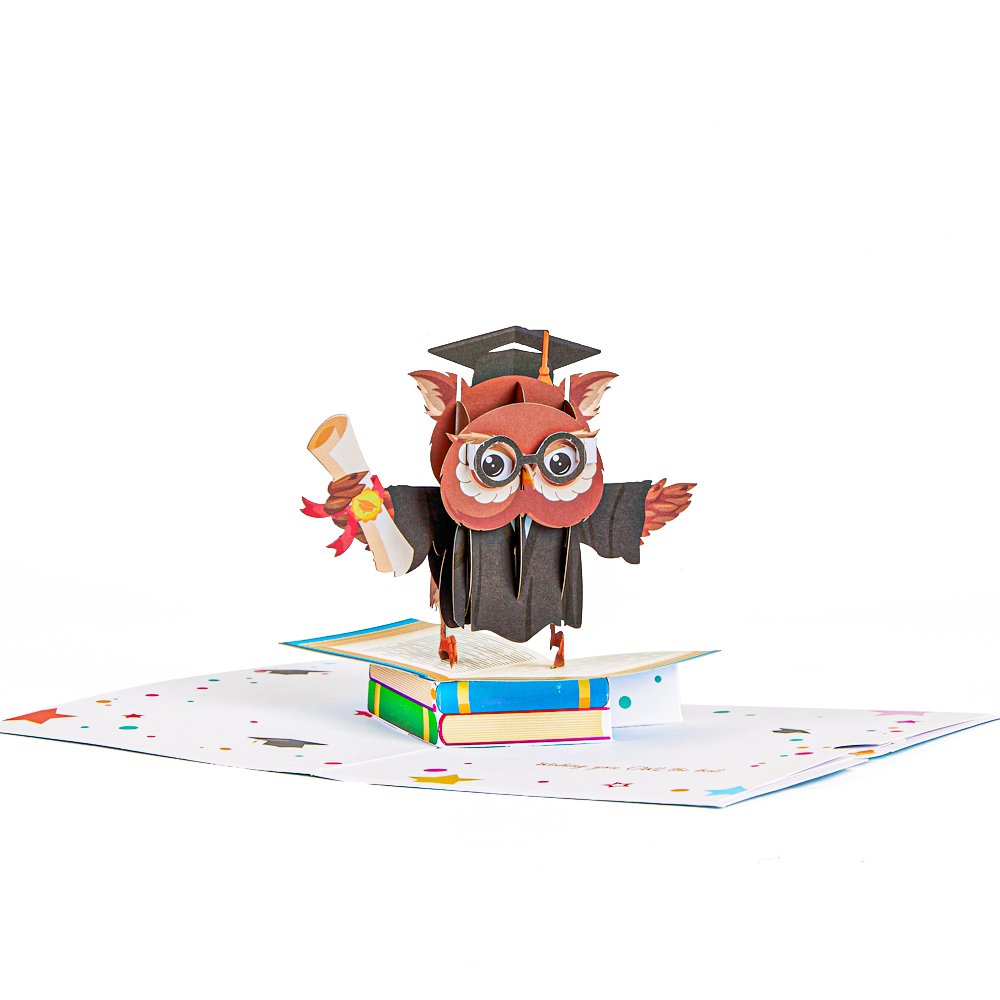 Owl Graduation 3D Pop Up Card