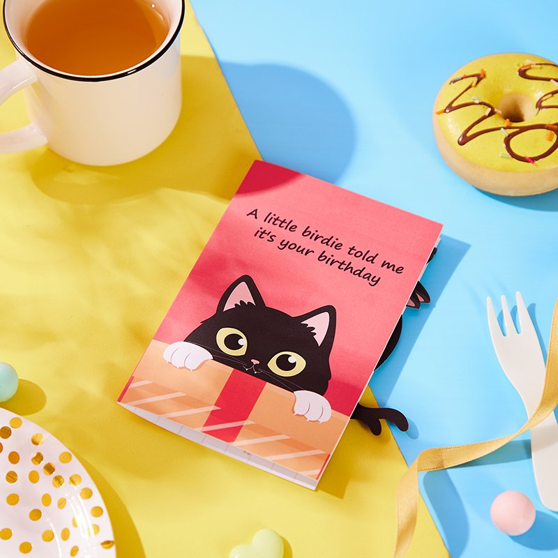 Funny Cat Birthday Greeting Card Bird