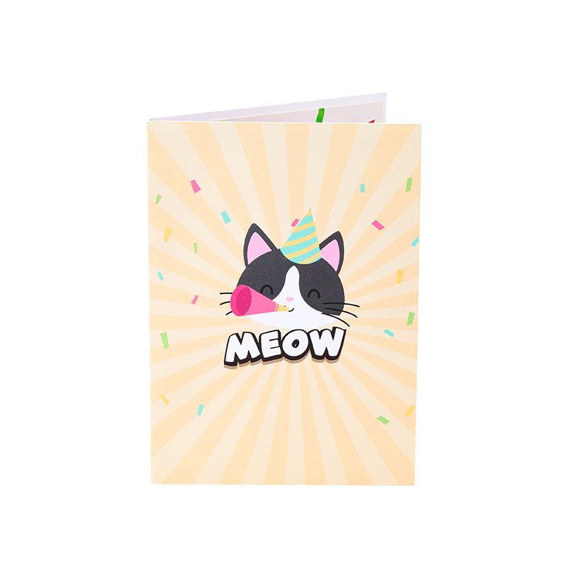Cat Birthday Pop Up Card