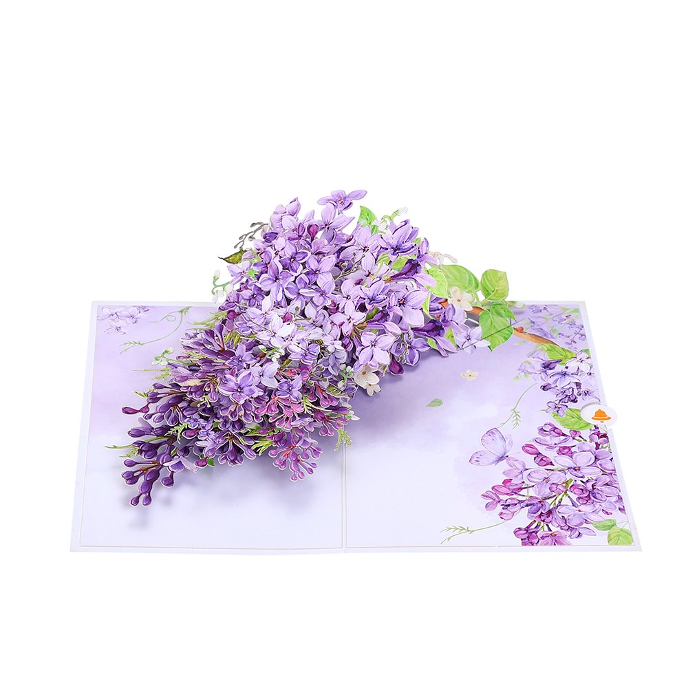 Wisteria Greeting Card