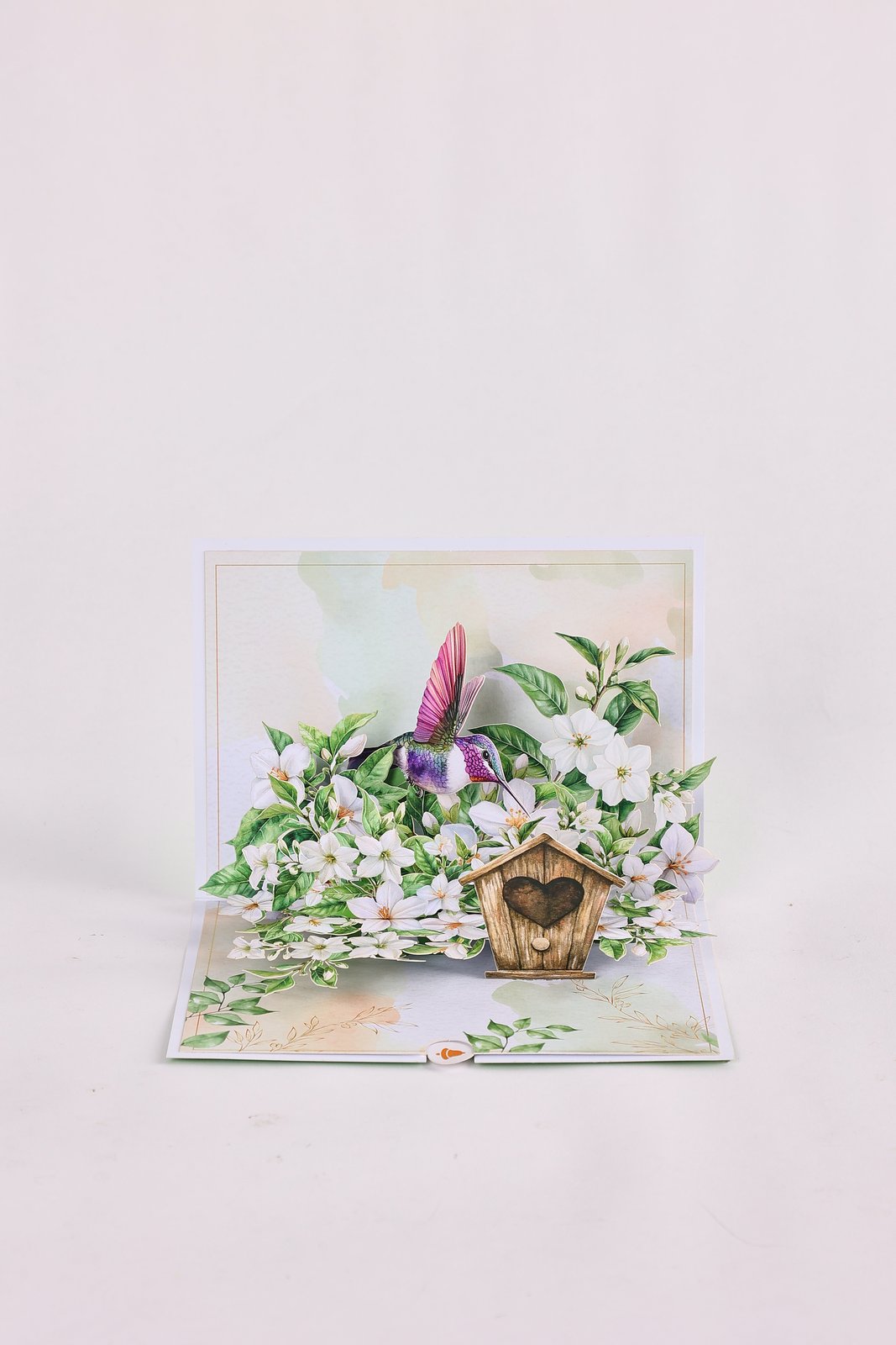 Jasmine Hummingbird Greeting Card 2-Pack