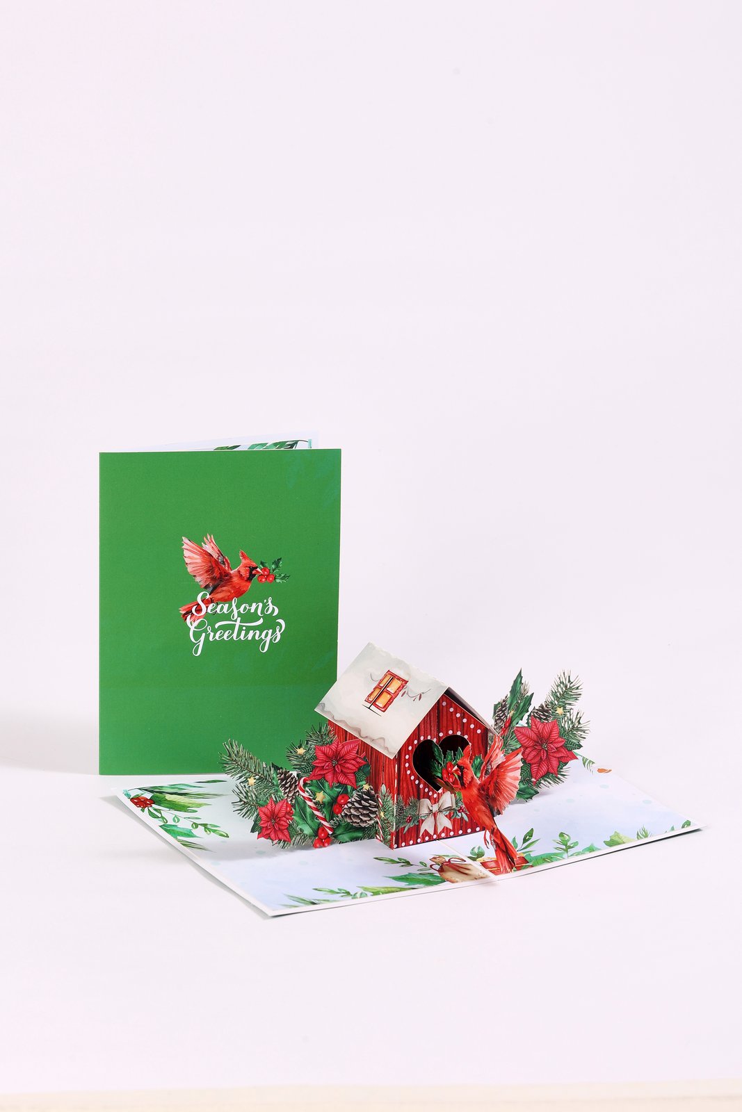 North American Peacock Bird House Christmas Greeting Card