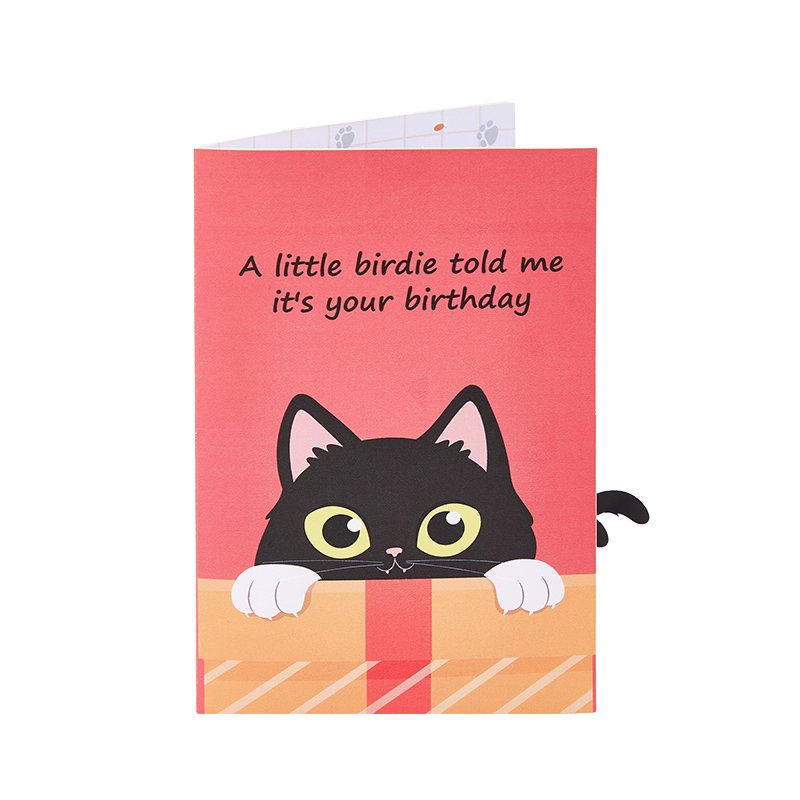 Funny Cat Birthday Greeting Card Bird