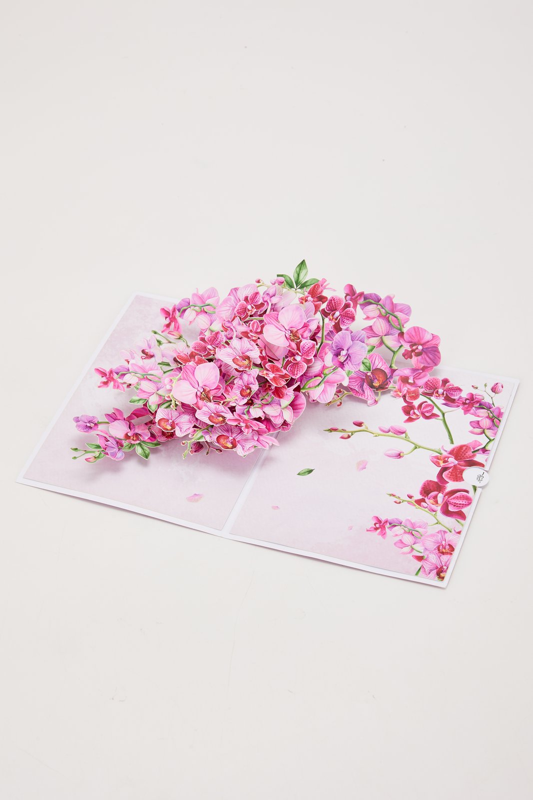 Orchid Greeting Card