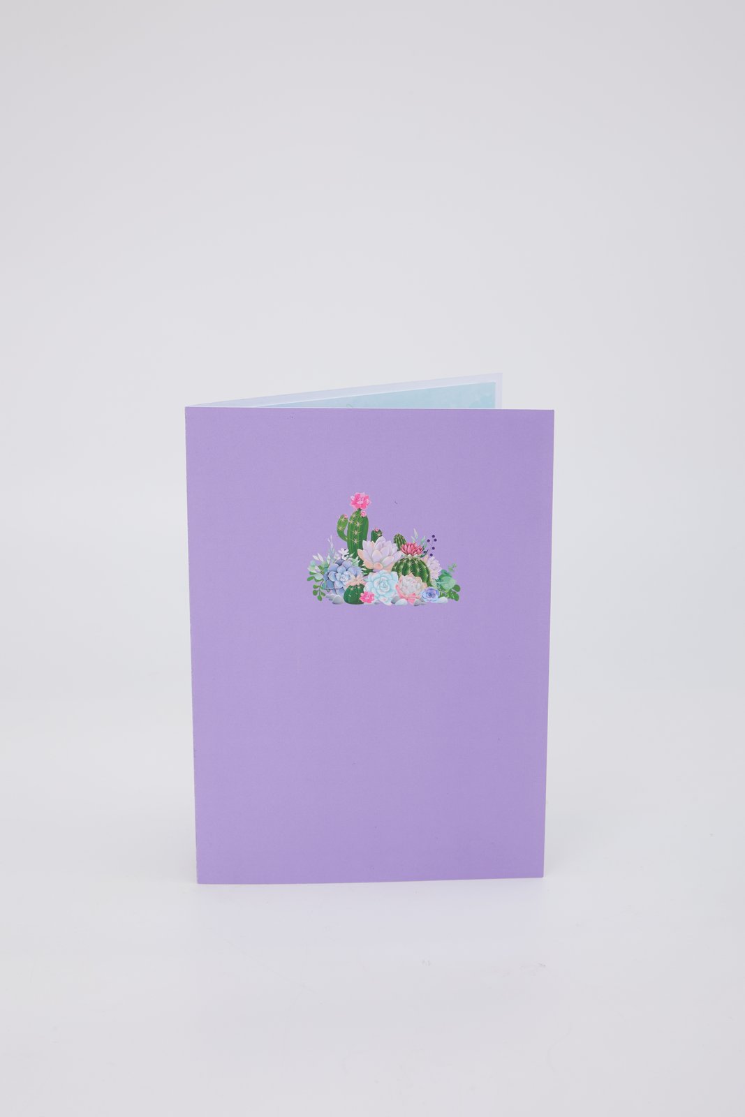 Succulent Flower Basket 3D Pop Up Card
