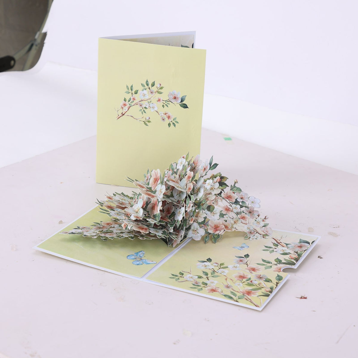 Magnolia Branch Greeting Card