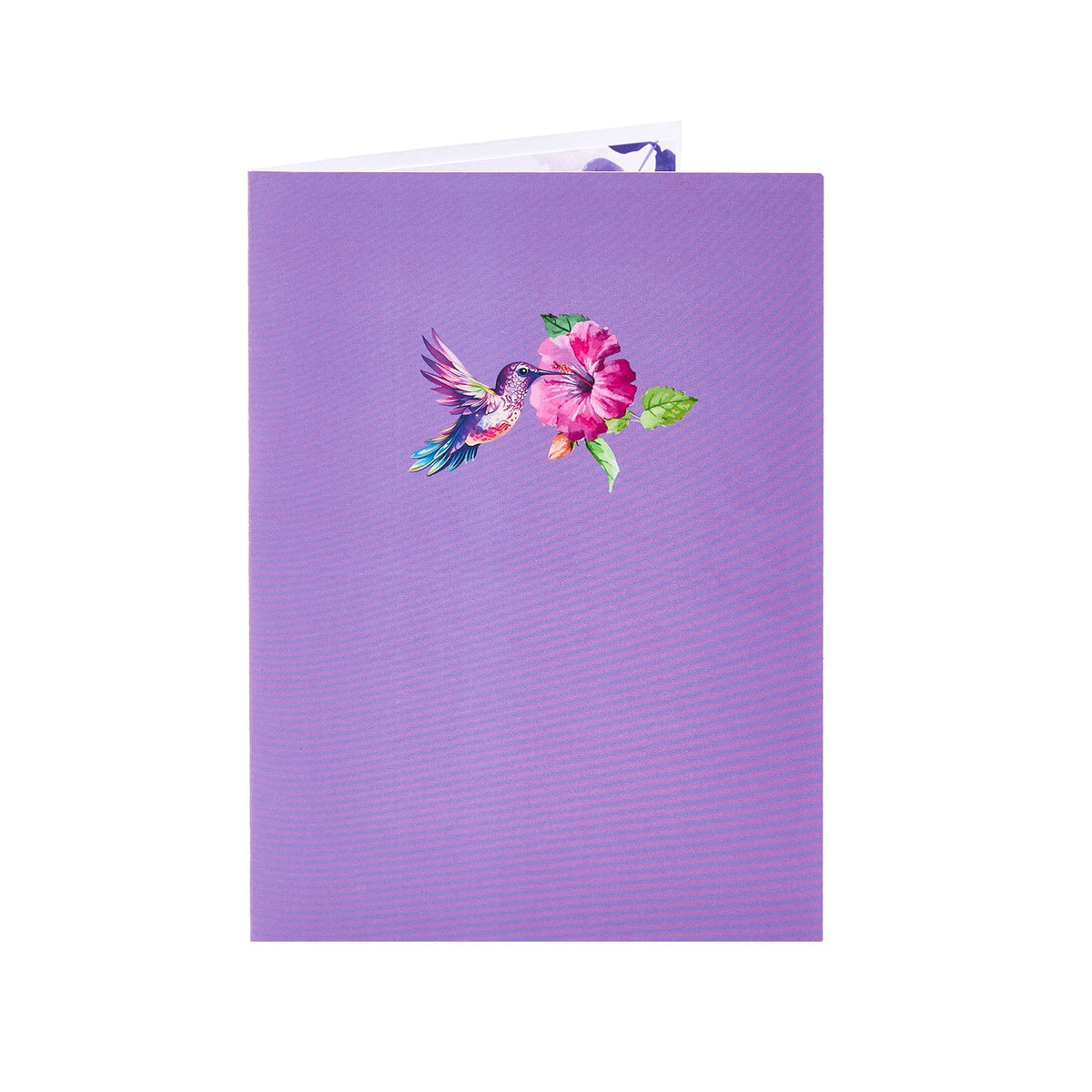 Hummingbird 3D Pop Up Card