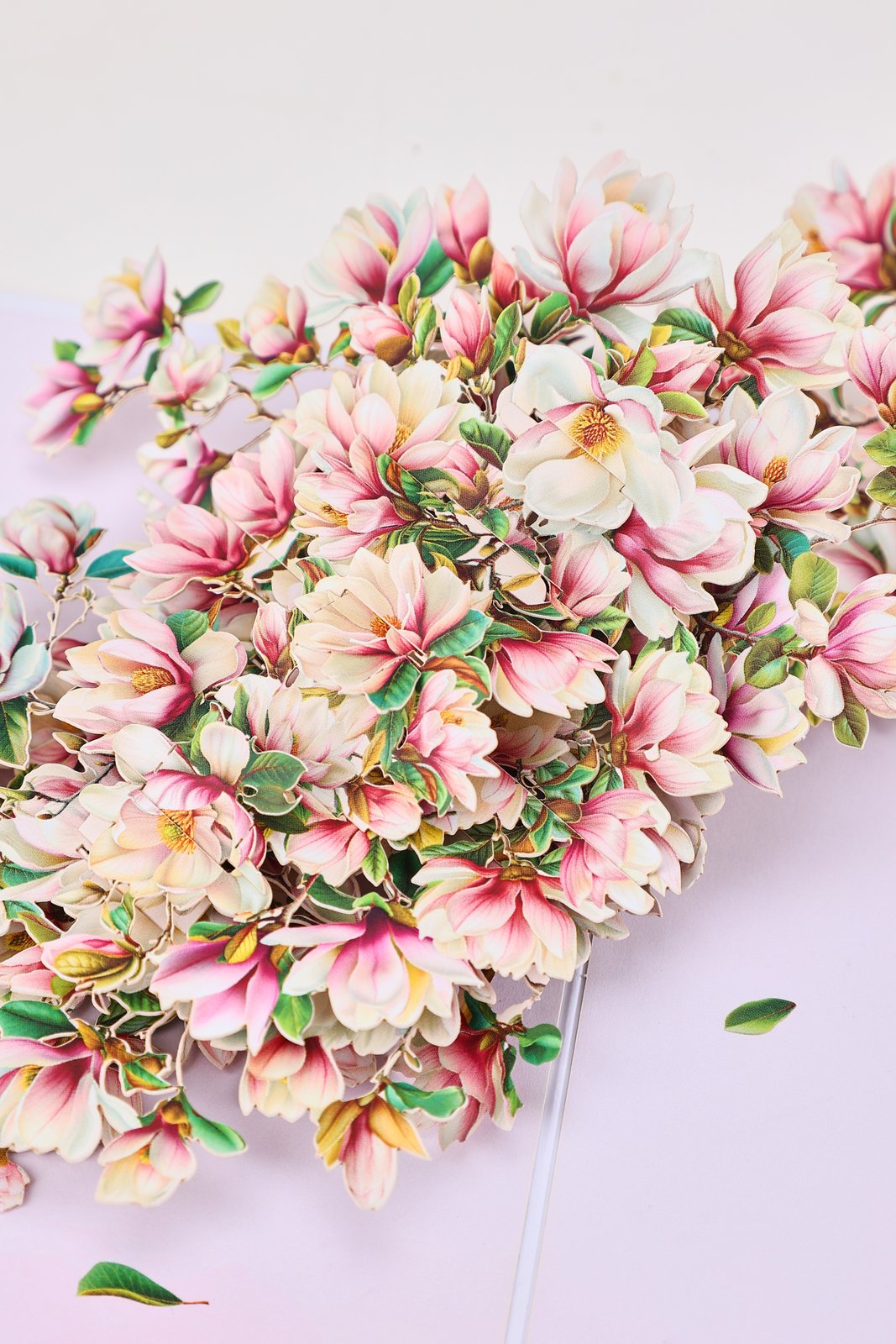 Magnolia Greeting Card