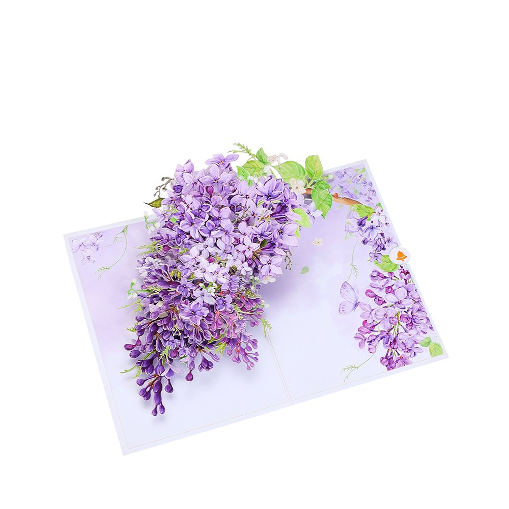 Wisteria Greeting Card