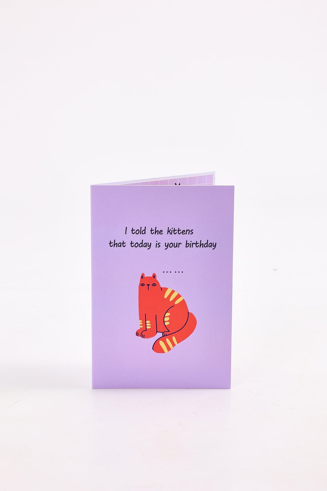 Cat Doesn't Care 90° 3D Pop Up Card