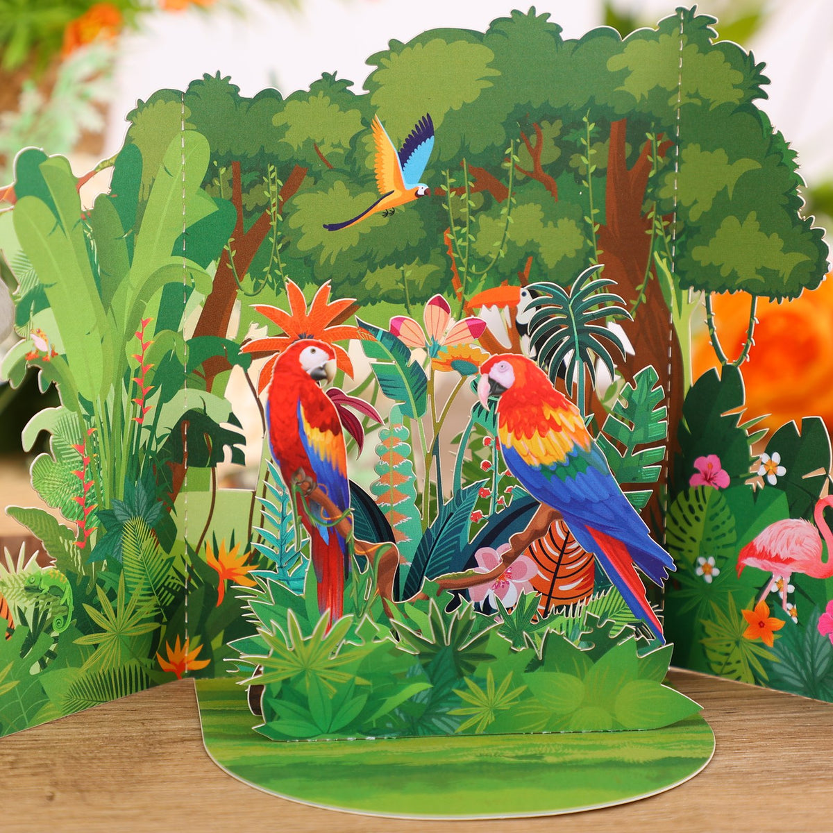 Tropical Rainforest 3D Pop Up Card