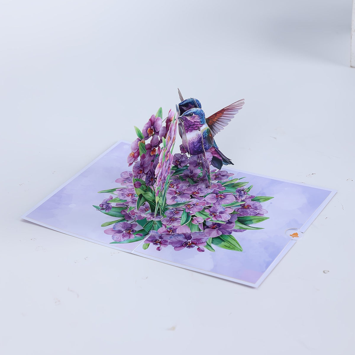 Orchid Hummingbird Greeting Card
