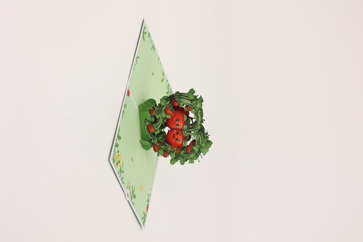 Tomato Head To Toe Love You 3D Pop Up Card