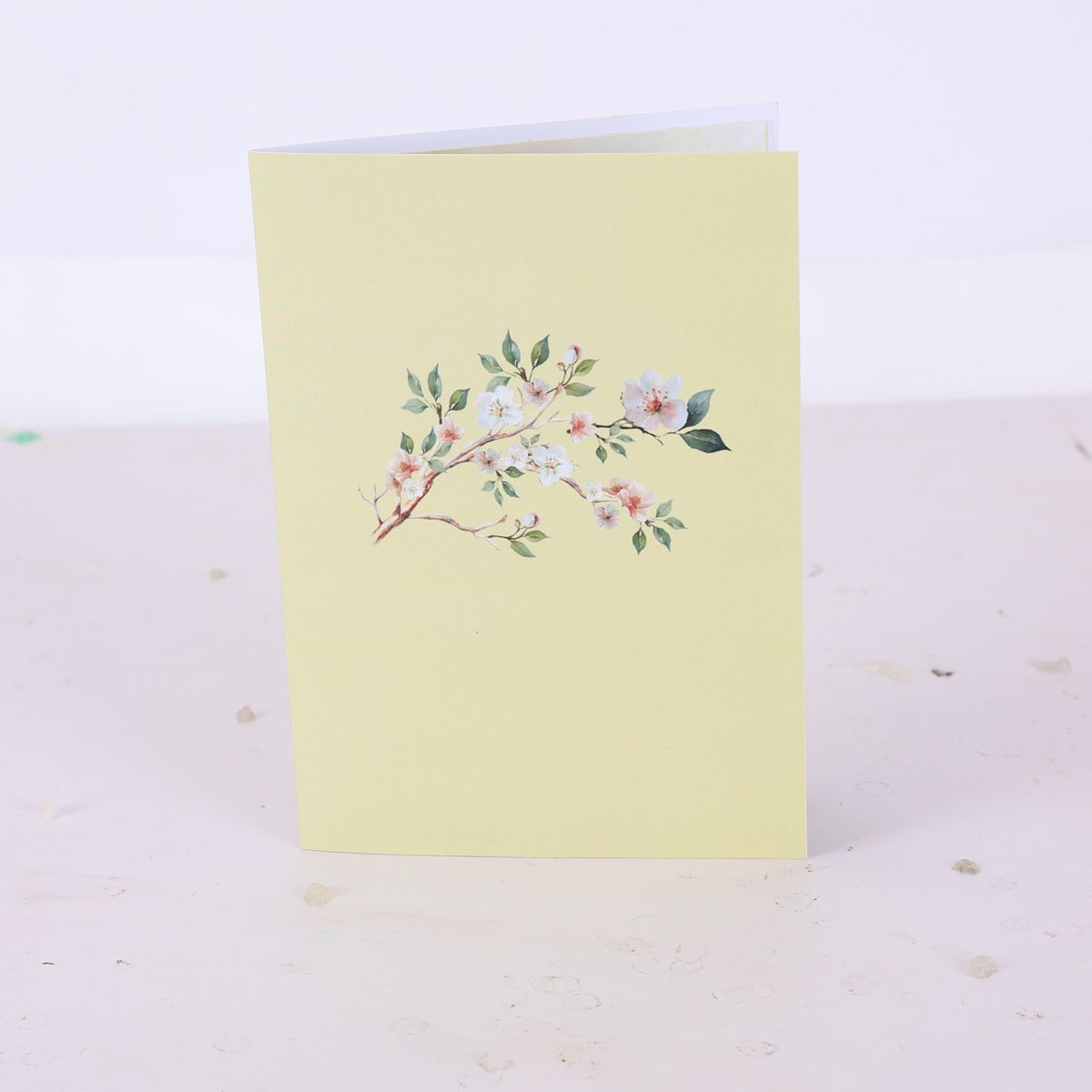Magnolia Branch Greeting Card