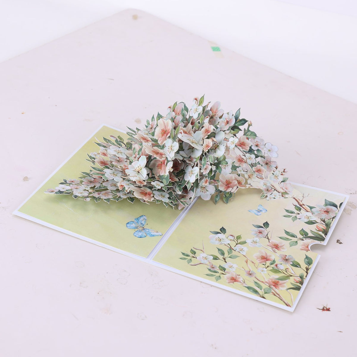 Magnolia Branch Greeting Card
