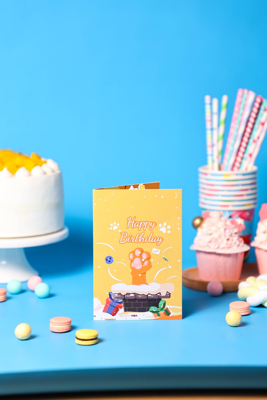 Cat Birthday Box Card