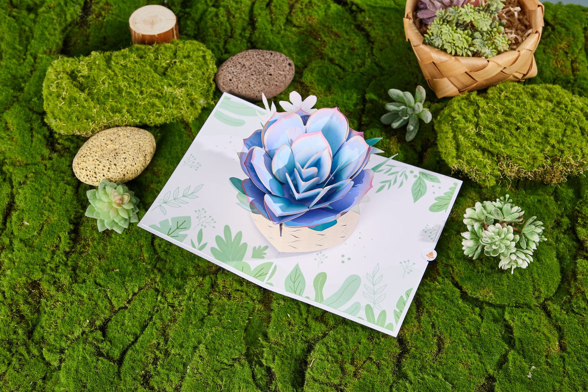 Succulent Flower Pot 3D Pop Up Card