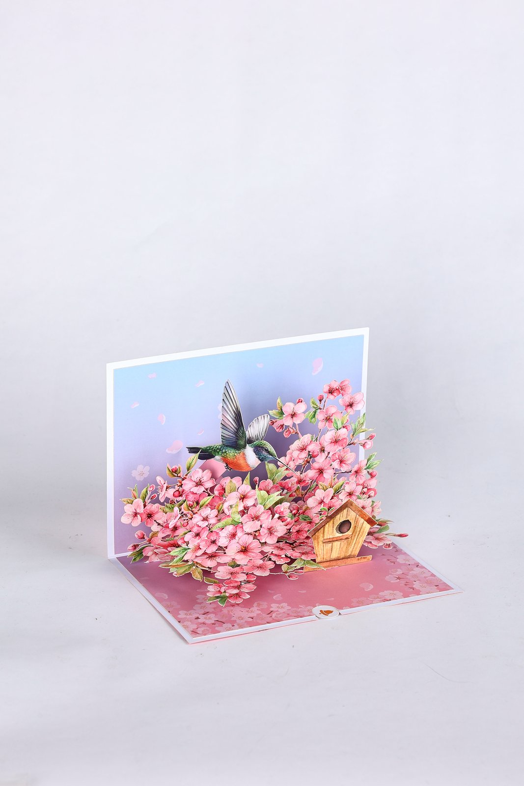Cherry Blossom Hummingbird Greeting Card 2-Pack