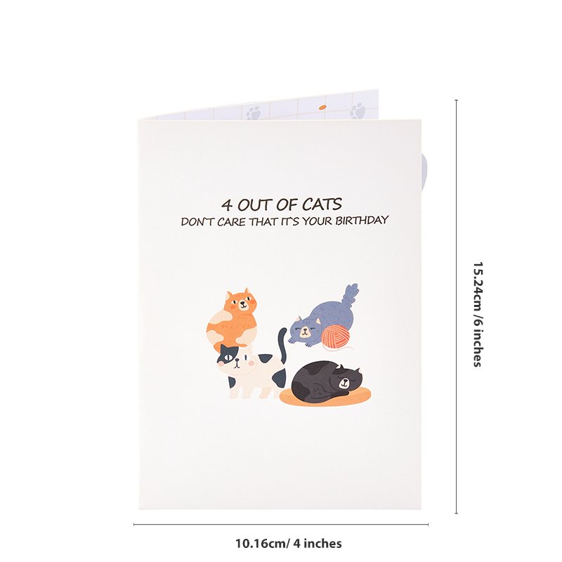 Nobody Cares Cat Birthday Greeting Card