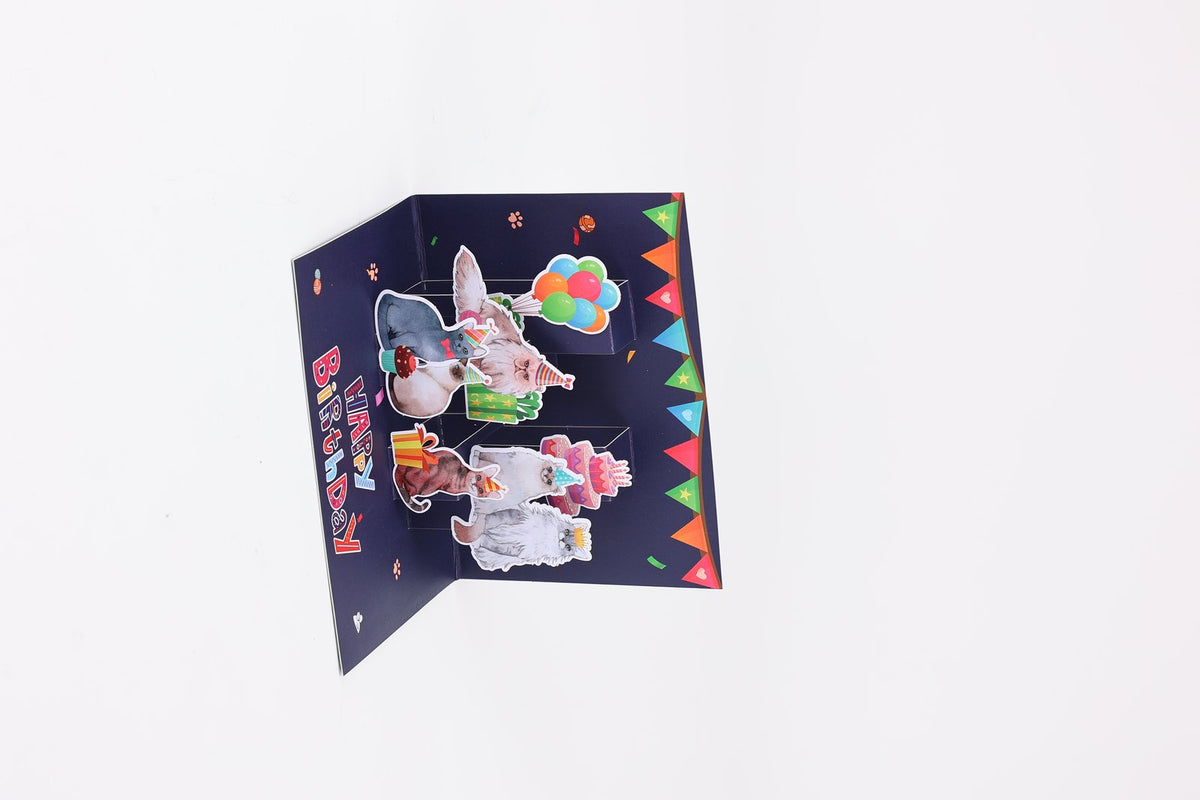 Cat Birthday Greeting Card