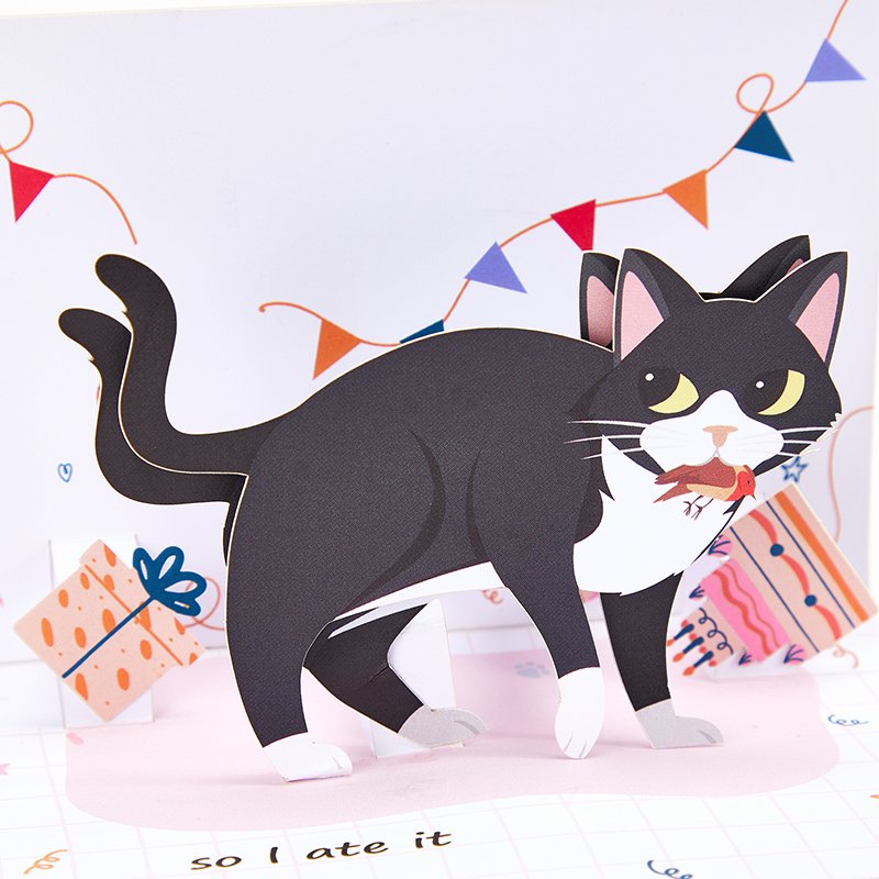 Funny Cat Birthday Greeting Card Bird