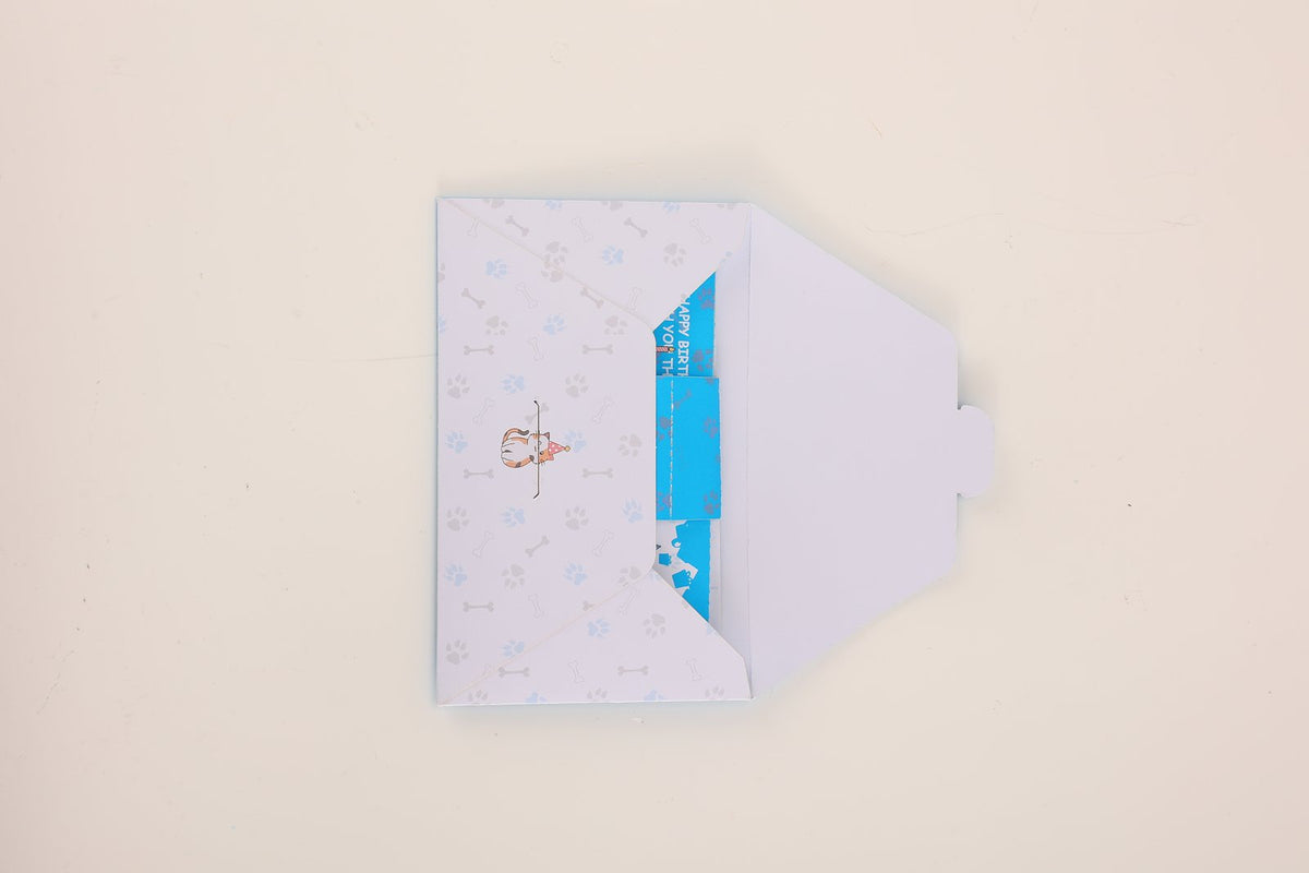 Funny Cat Surprise Envelope Pop Up Card