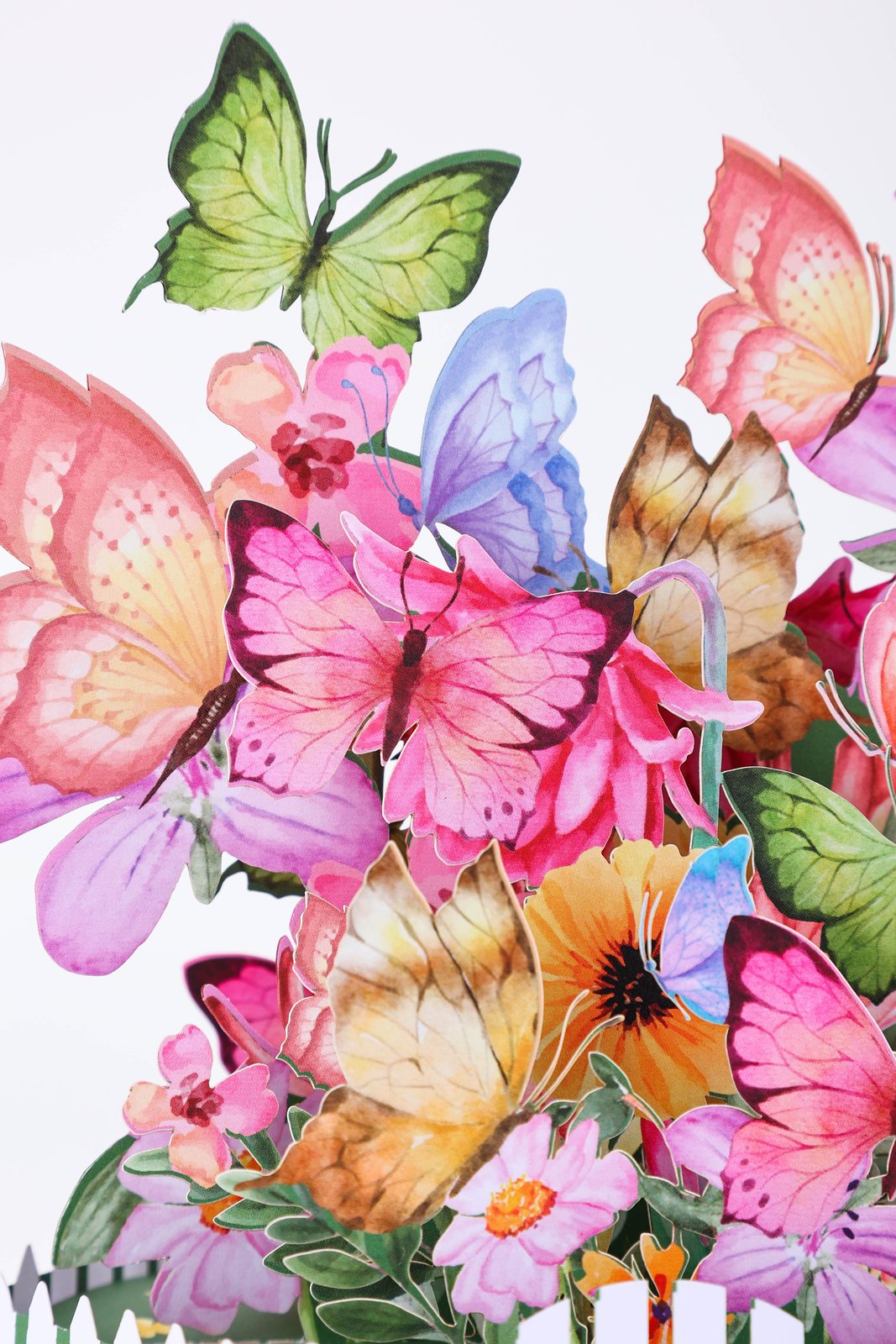 Butterfly Box Card