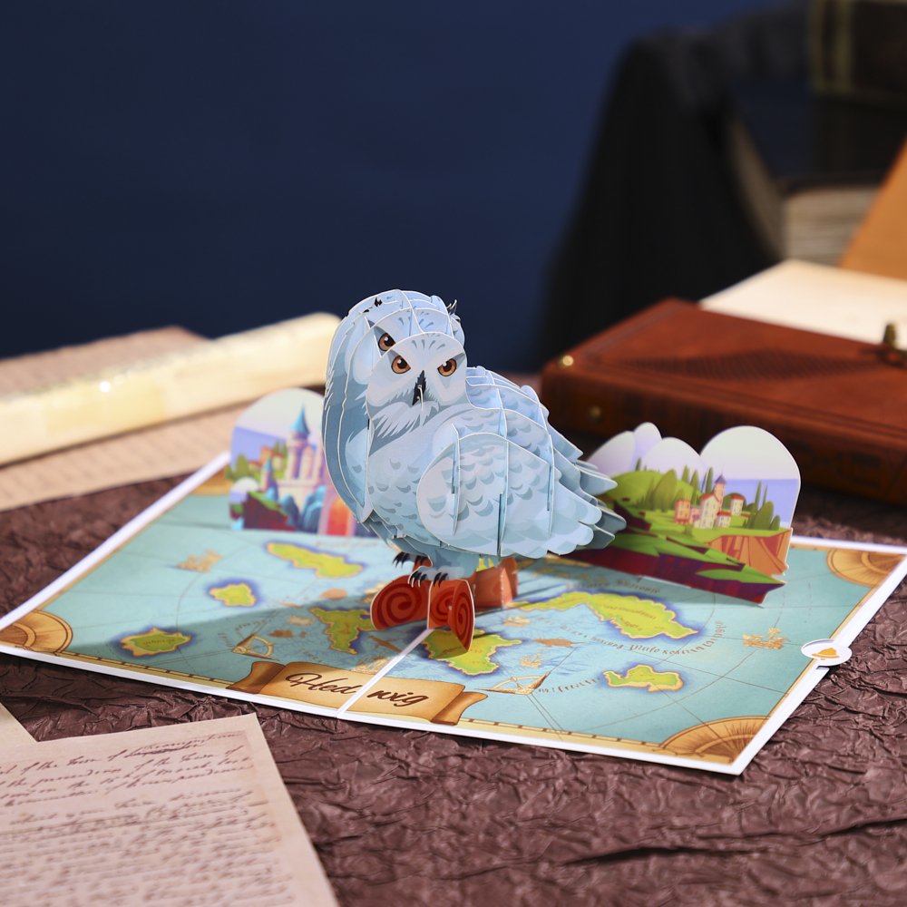 Owl Delivering Mail Map Greeting Card