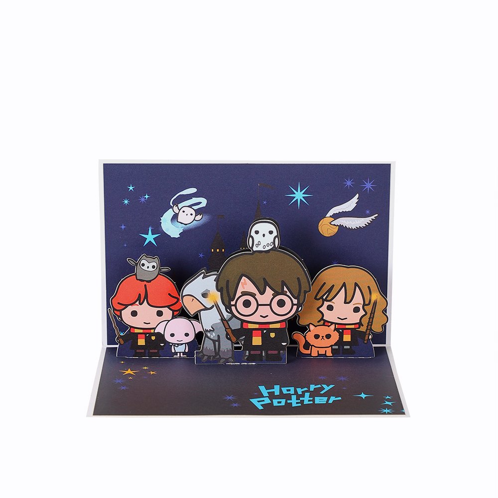Owl Birthday Flip Pop Up Card