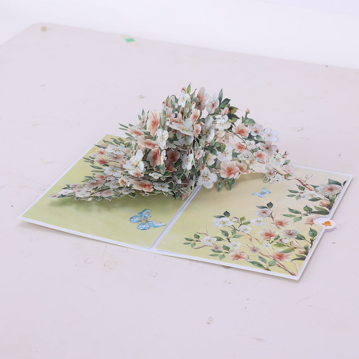 Magnolia Branch Greeting Card