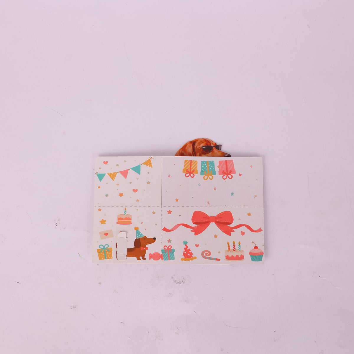 Birthday Dog Box Card