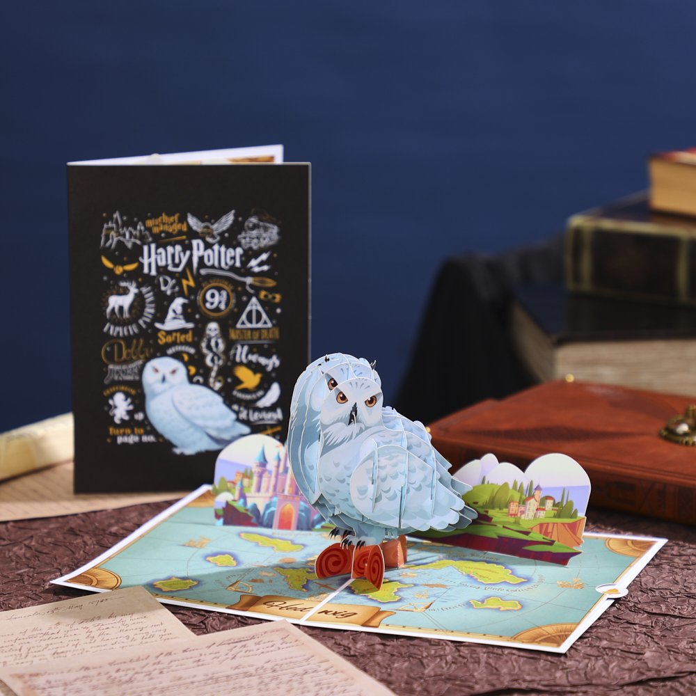 Owl Delivering Mail Map Greeting Card