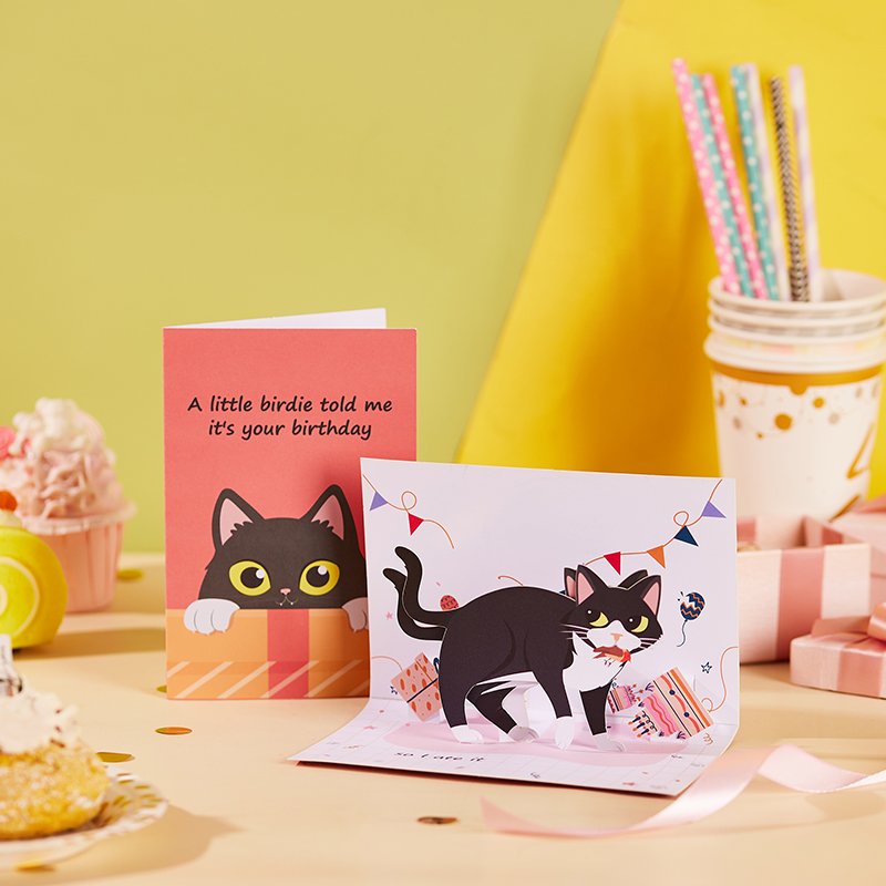 Funny Cat Birthday Greeting Card Bird