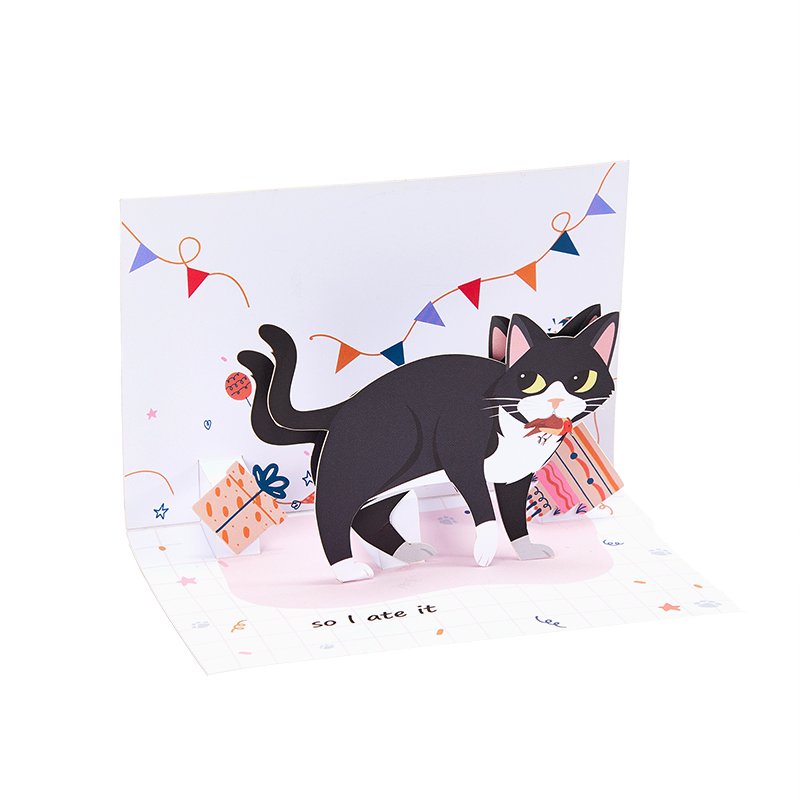 Funny Cat Birthday Greeting Card Bird