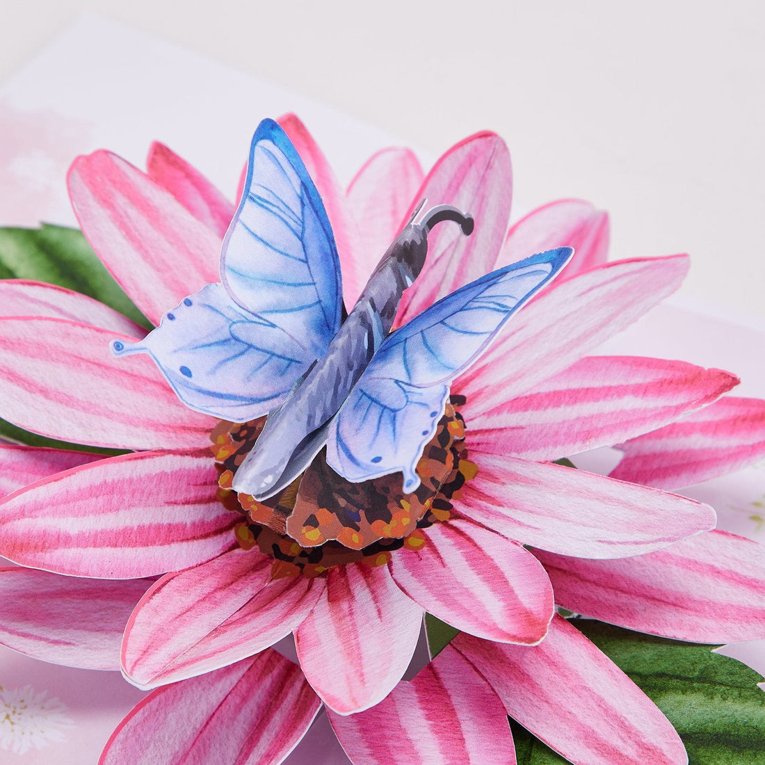 Pop Up Cards for Elderly Recipients: What Works Best