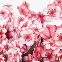 Strict Quality Cherry Blossom 3D Pop-Up Card Delicate Paper Floral 3D Flower Box