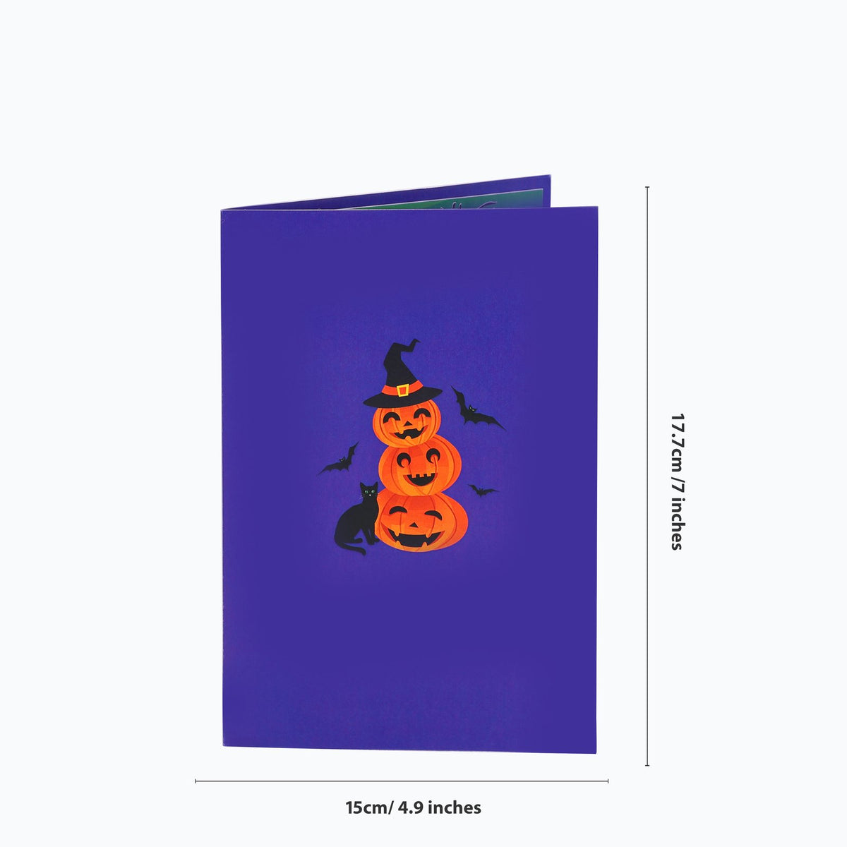 Halloween Witch Cat Greeting Card