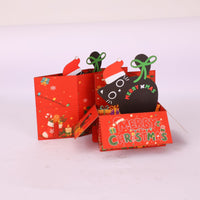 Christmas Funny Cat Box Card