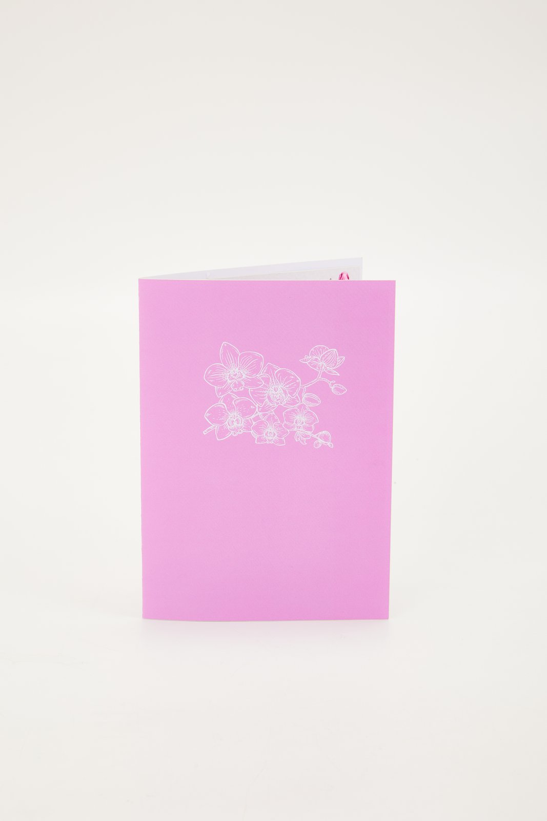 Orchid Greeting Card