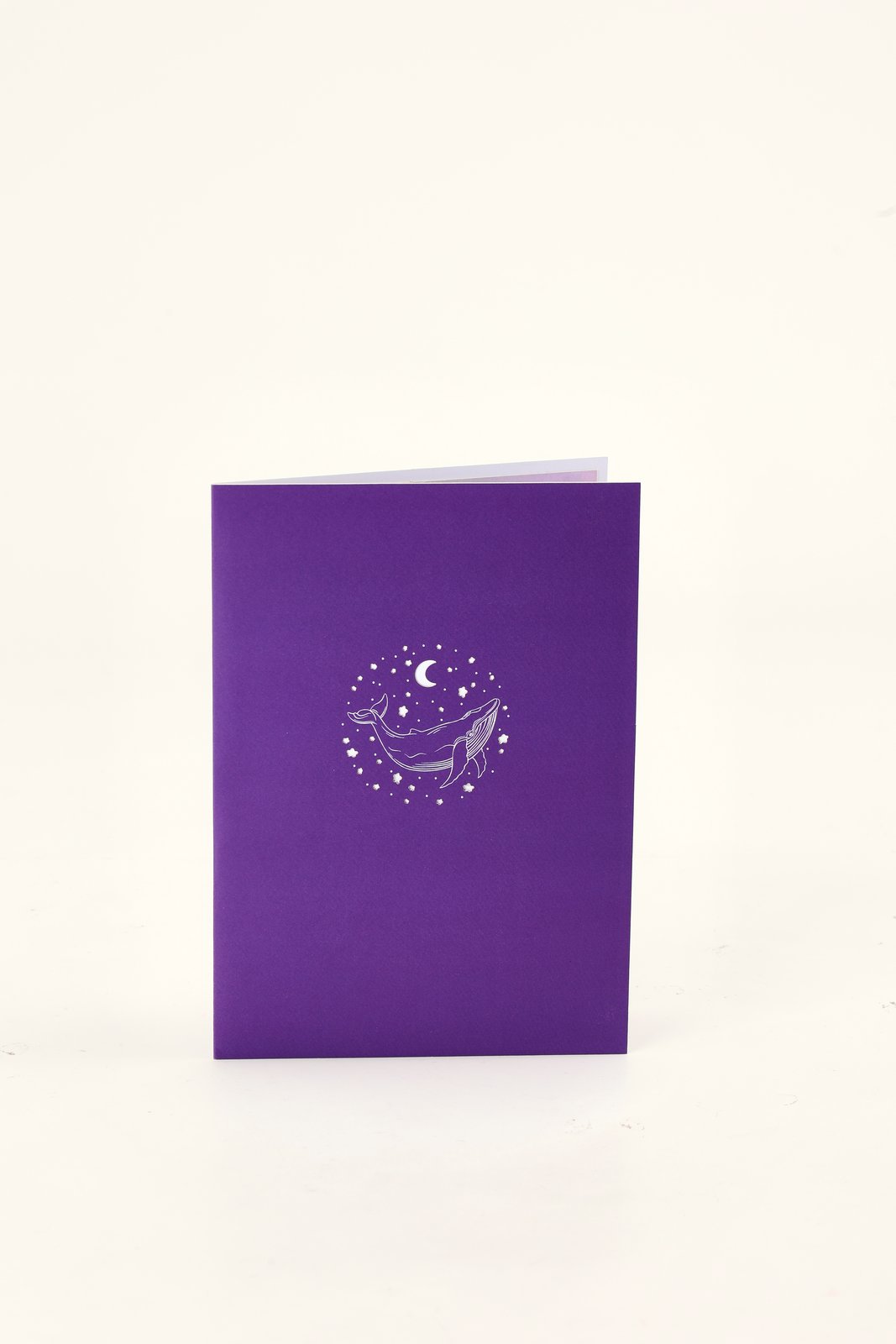 Moon Whale 3D Pop Up Card