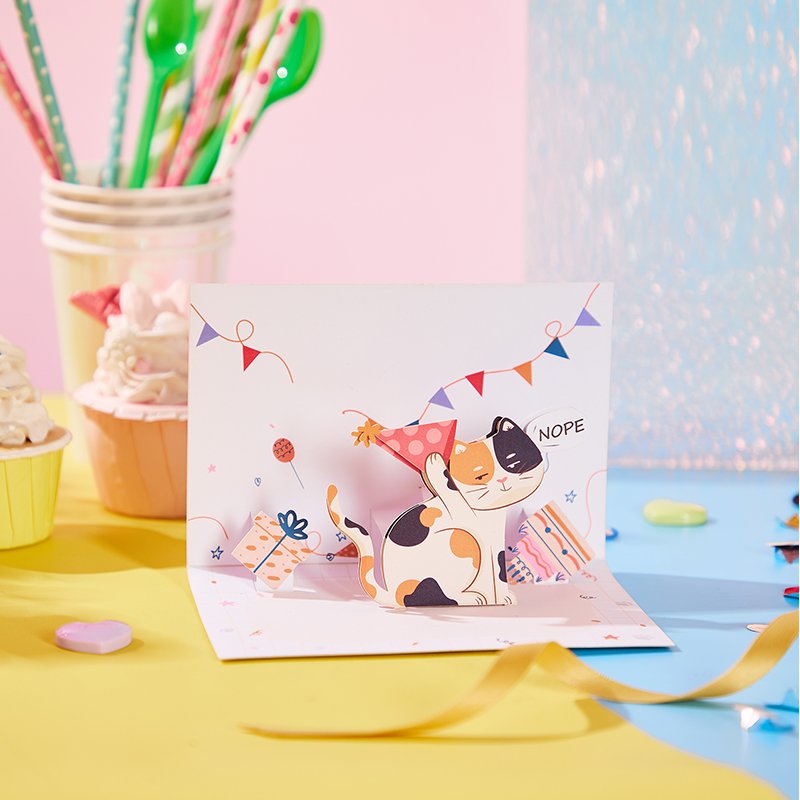 Nobody Cares Cat Birthday Greeting Card