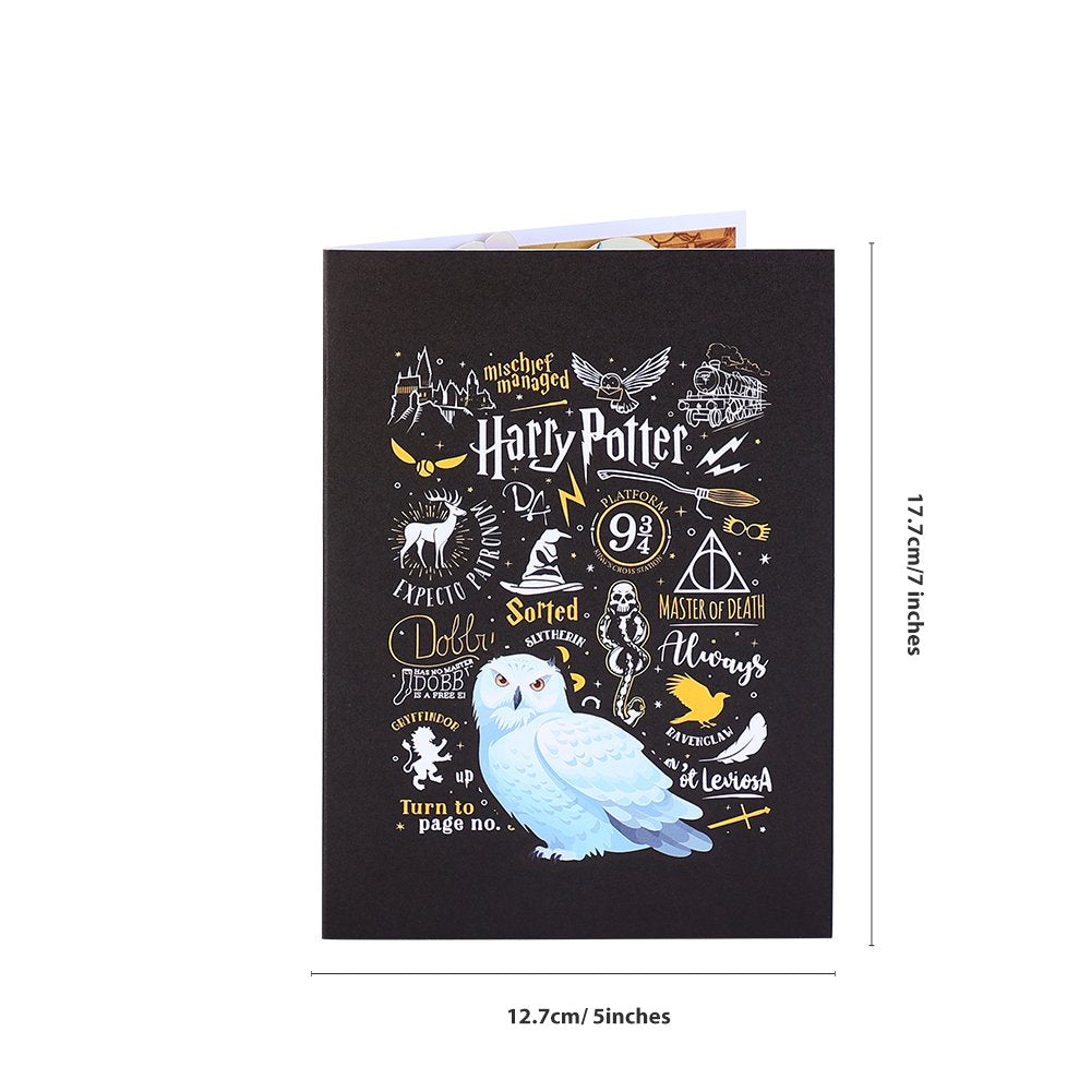 Owl Delivering Mail Map Greeting Card
