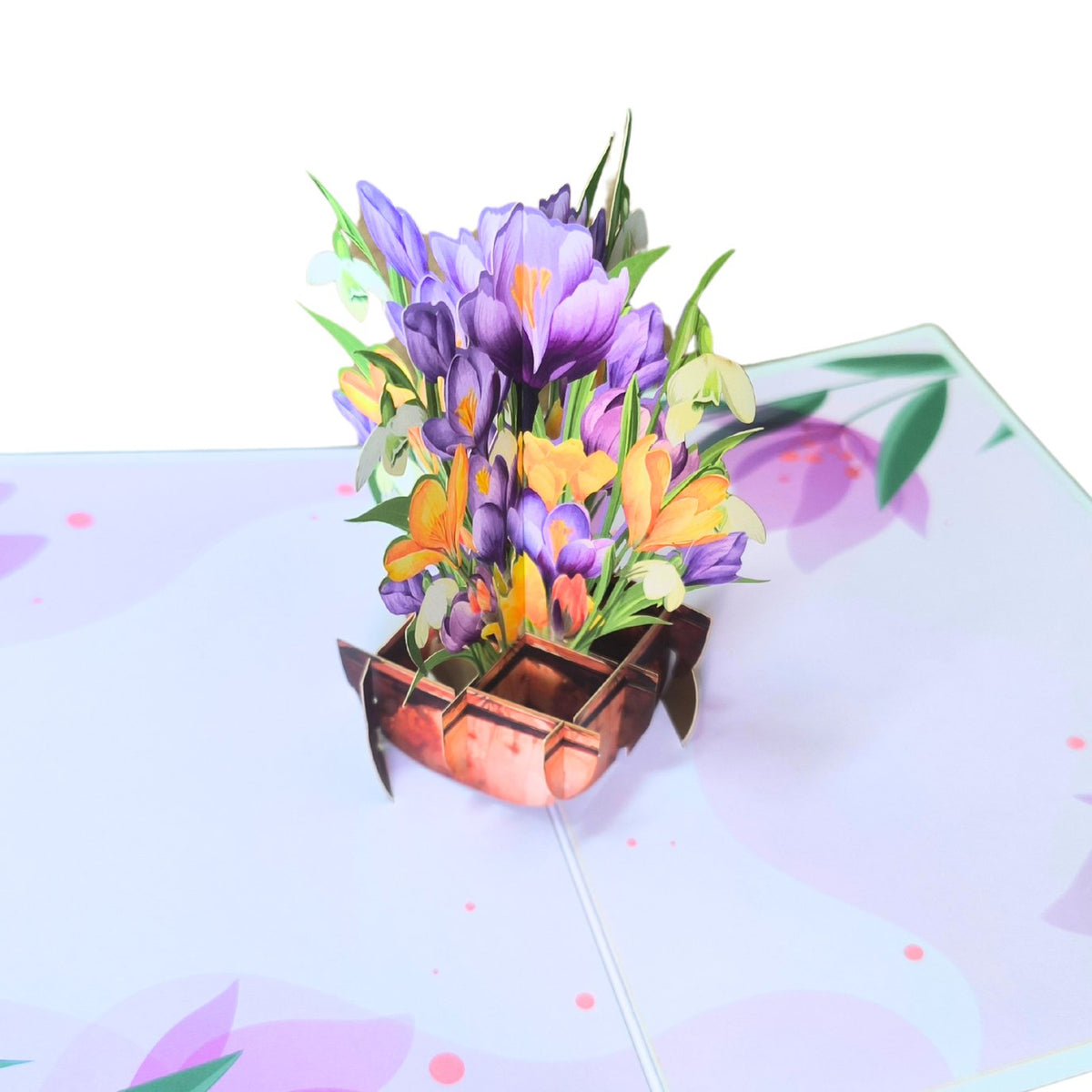 Crocus Greeting Card