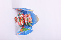 Christmas Cat Truck Double Door Pop Up Card