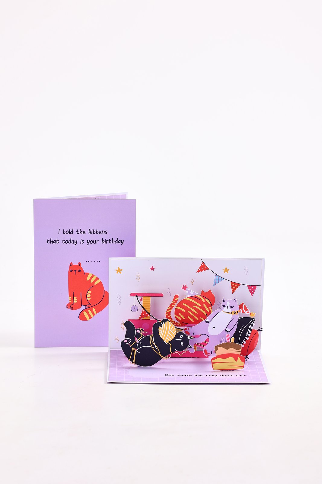 Cat Doesn't Care 90° 3D Pop Up Card
