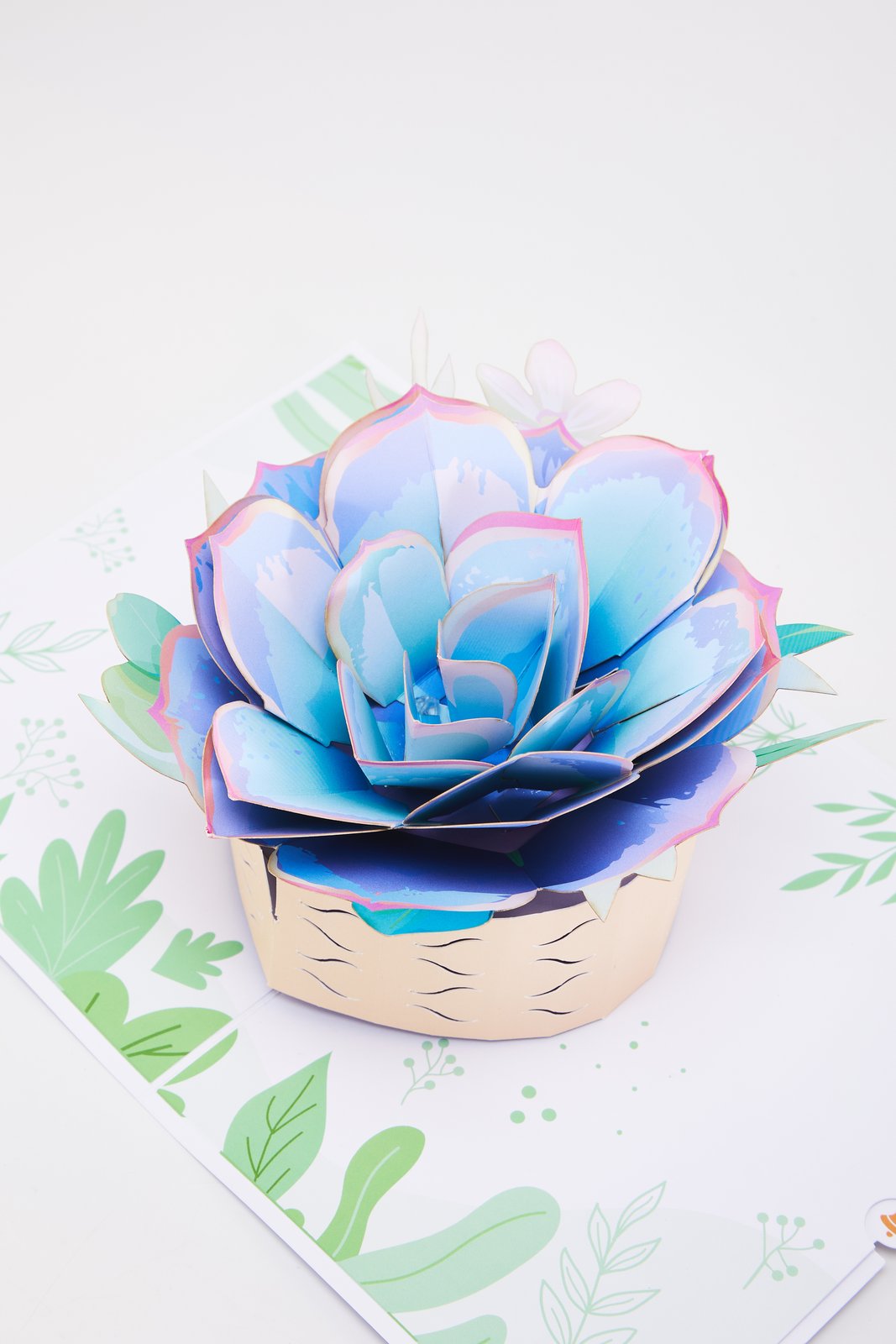 Succulent Flower Pot 3D Pop Up Card